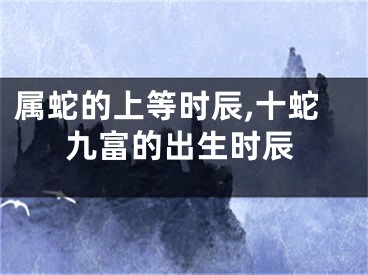 属蛇的上等时辰,十蛇九富的出生时辰