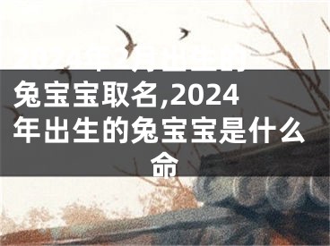 2024年2月出生的兔宝宝取名,2024年出生的兔宝宝是什么命