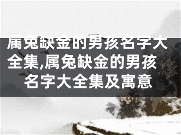 属兔缺金的男孩名字大全集,属兔缺金的男孩名字大全集及寓意