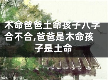 木命爸爸土命孩子八字合不合,爸爸是木命孩子是土命