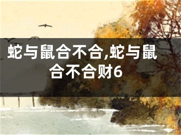 蛇与鼠合不合,蛇与鼠合不合财6