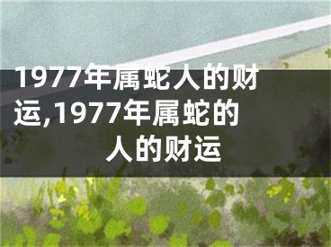 1977年属蛇人的财运,1977年属蛇的人的财运