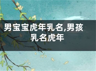 男宝宝虎年乳名,男孩乳名虎年