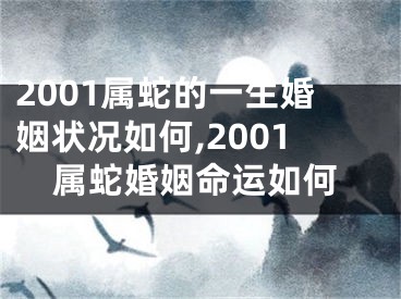 2001属蛇的一生婚姻状况如何,2001属蛇婚姻命运如何