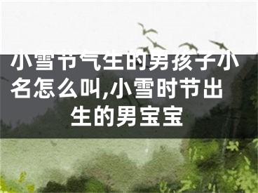 小雪节气生的男孩子小名怎么叫,小雪时节出生的男宝宝