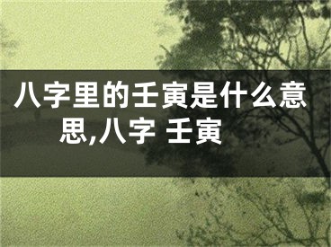 八字里的壬寅是什么意思,八字 壬寅