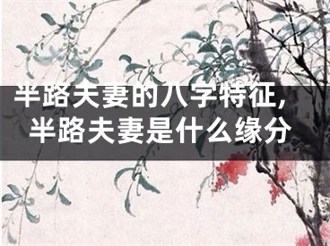半路夫妻的八字特征,半路夫妻是什么缘分