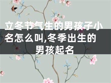 立冬节气生的男孩子小名怎么叫,冬季出生的男孩起名