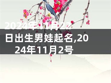 2024年11月22日出生男娃起名,2024年11月2号