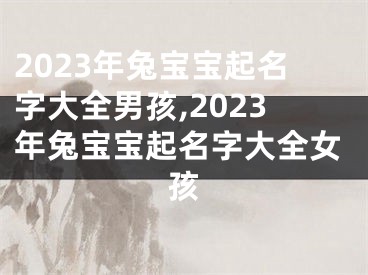 2023年兔宝宝起名字大全男孩,2023年兔宝宝起名字大全女孩