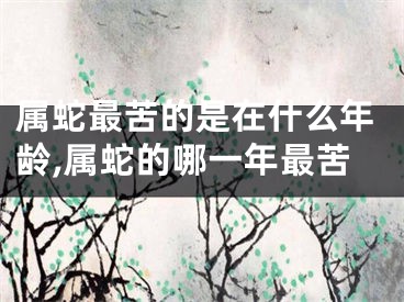 属蛇最苦的是在什么年龄,属蛇的哪一年最苦