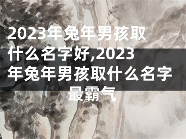2023年兔年男孩取什么名字好,2023年兔年男孩取什么名字最霸气