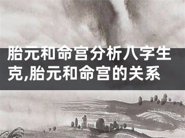 胎元和命宫分析八字生克,胎元和命宫的关系