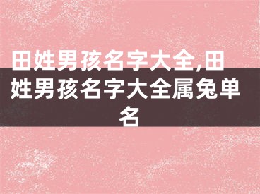 田姓男孩名字大全,田姓男孩名字大全属兔单名