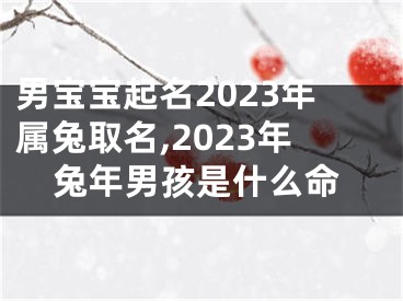 男宝宝起名2023年属兔取名,2023年兔年男孩是什么命