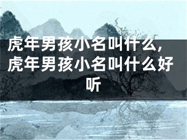 虎年男孩小名叫什么,虎年男孩小名叫什么好听
