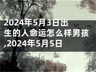 2024年5月3日出生的人命运怎么样男孩,2024年5月5日