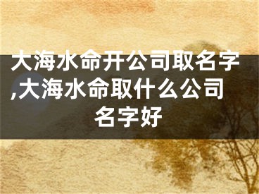 大海水命开公司取名字,大海水命取什么公司名字好