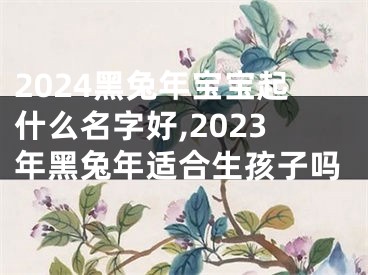 2024黑兔年宝宝起什么名字好,2023年黑兔年适合生孩子吗