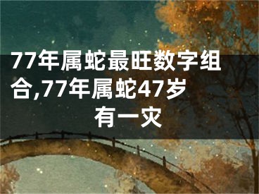 77年属蛇最旺数字组合,77年属蛇47岁有一灾