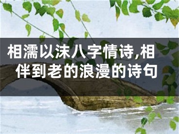 相濡以沫八字情诗,相伴到老的浪漫的诗句