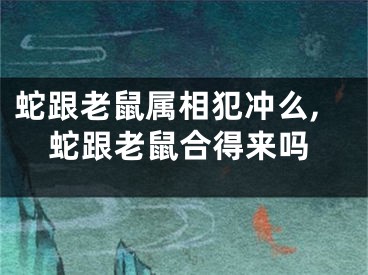 蛇跟老鼠属相犯冲么,蛇跟老鼠合得来吗