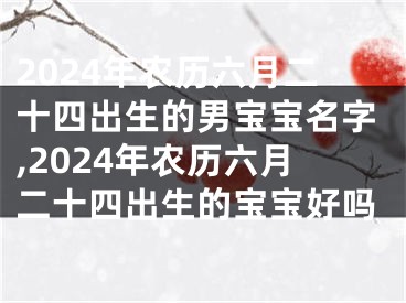 2024年农历六月二十四出生的男宝宝名字,2024年农历六月二十四出生的宝宝好吗