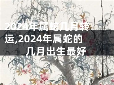 2024年属蛇几月转运,2024年属蛇的几月出生最好