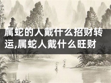 属蛇的人戴什么招财转运,属蛇人戴什么旺财