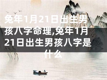 兔年1月21日出生男孩八字命理,兔年1月21日出生男孩八字是什么