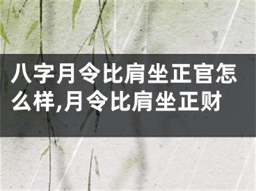 八字月令比肩坐正官怎么样,月令比肩坐正财