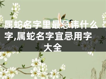 属蛇名字里最忌讳什么字,属蛇名字宜忌用字大全