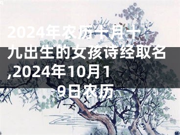 2024年农历十月十九出生的女孩诗经取名,2024年10月19日农历