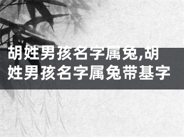 胡姓男孩名字属兔,胡姓男孩名字属兔带基字