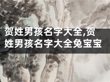 贺姓男孩名字大全,贺姓男孩名字大全兔宝宝