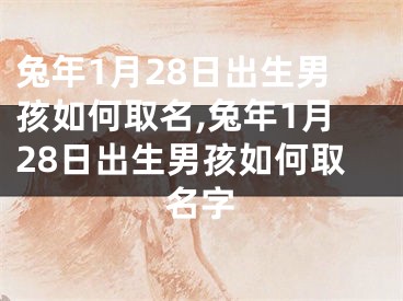 兔年1月28日出生男孩如何取名,兔年1月28日出生男孩如何取名字