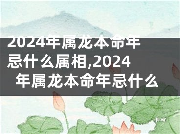 2024年属龙本命年忌什么属相,2024年属龙本命年忌什么