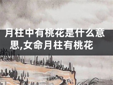 月柱中有桃花是什么意思,女命月柱有桃花