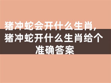猪冲蛇会开什么生肖,猪冲蛇开什么生肖给个准确答案
