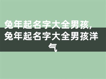 兔年起名字大全男孩,兔年起名字大全男孩洋气