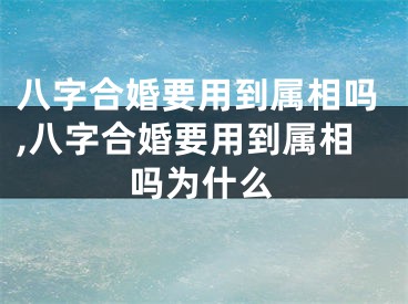 八字合婚要用到属相吗,八字合婚要用到属相吗为什么