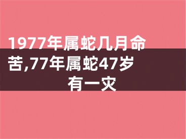 1977年属蛇几月命苦,77年属蛇47岁有一灾