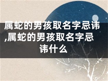 属蛇的男孩取名字忌讳,属蛇的男孩取名字忌讳什么