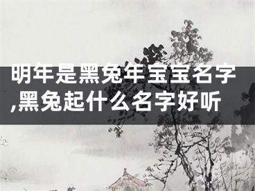 明年是黑兔年宝宝名字,黑兔起什么名字好听