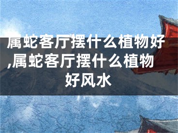 属蛇客厅摆什么植物好,属蛇客厅摆什么植物好风水