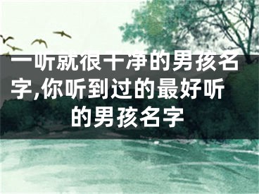 一听就很干净的男孩名字,你听到过的最好听的男孩名字