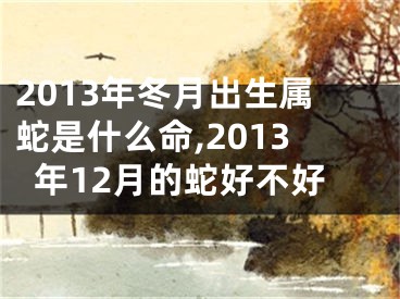 2013年冬月出生属蛇是什么命,2013年12月的蛇好不好