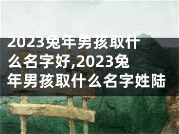 2023兔年男孩取什么名字好,2023兔年男孩取什么名字姓陆
