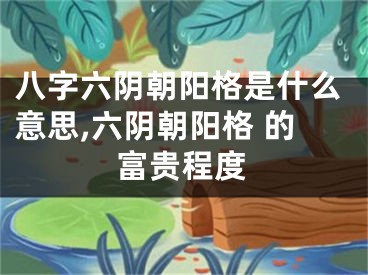 八字六阴朝阳格是什么意思,六阴朝阳格 的富贵程度