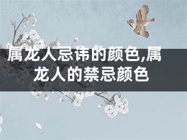 属龙人忌讳的颜色,属龙人的禁忌颜色